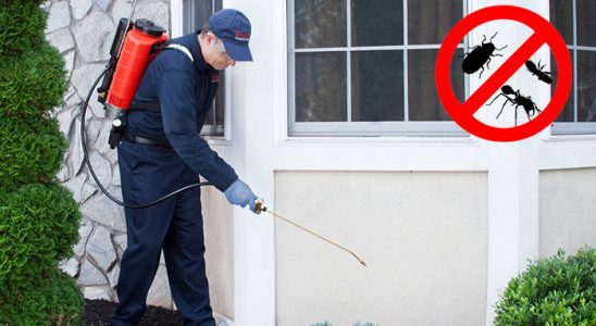Çal Dezenfeksiyon böcek ilaçlama ve haşere kontrolü — ilaclama-tr.com